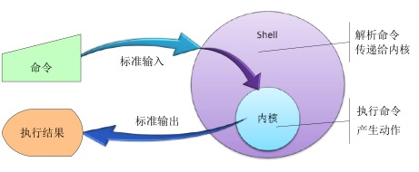 shell